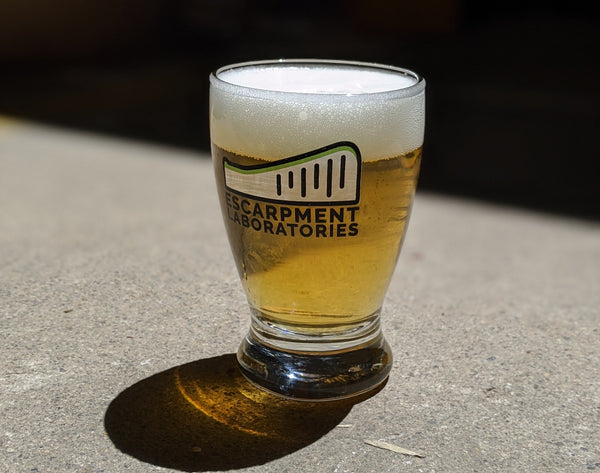 Image of clear beer in Escarpment Labs beer glass