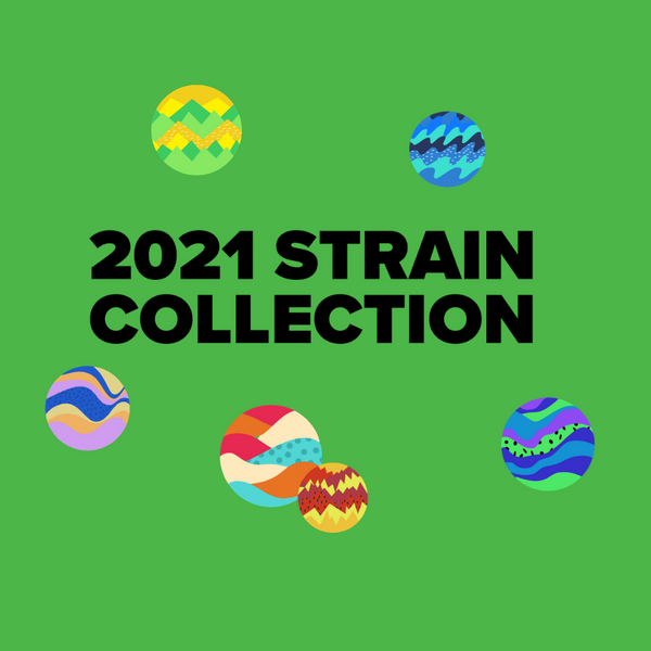 2021 Strain Collection Poster - PDF available!