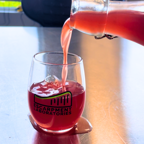 Recipe Jam Jar Kombucha Concentrate Escarpment Labs