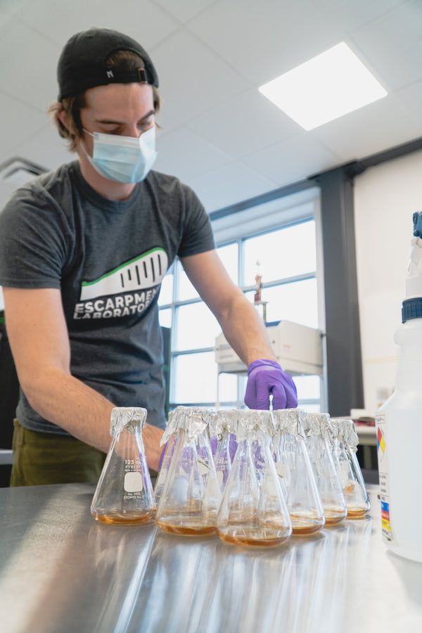 Brewer's Guide to Yeast Flavour & Biotransformation