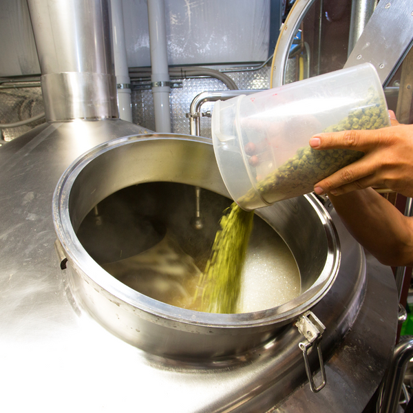 The 5 Skills Every Brewer Needs in Their Arsenal