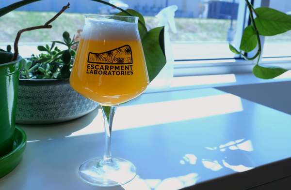 How to Homebrew A Low Alcohol IPA