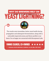 Yeast Lightning Nutrient