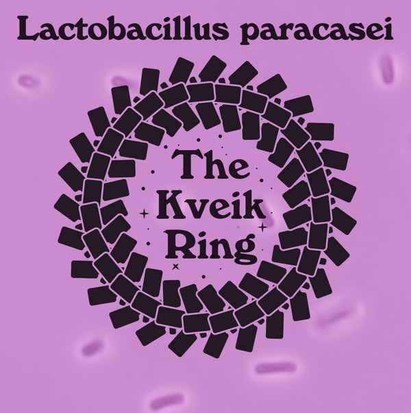 Lactobacillus paracasei
